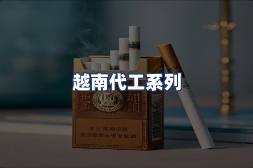越南代工系列
